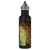 Peacock Trinkflasche (Rechts)