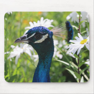 Peacock und Daisies Mouse Pad Mousepad