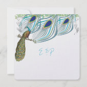 Peacock Vintag 3 Federn mit Peacock Einladung (Rückseite)