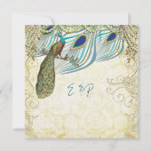 Peacock Vintag 3 Federn mit Peacock Einladung (Rückseite)