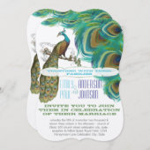 Peacock Vintag 4 Feathers Die Cut Wedding Einladung (Vorne/Hinten)
