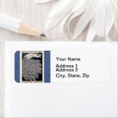 Peacock Vintages blaues Meer (Insitu)