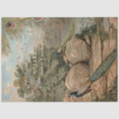 Peacock Water Lily Flora French Ephemera Decoupage Seidenpapier (Vorderseite)