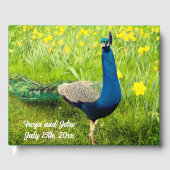Peacock Wedding Guest Book Gästebuch (Vorderseite)