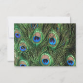 Peacock Wedding RSVP Karte (Rückseite)