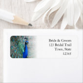 Peacock Wedding Theme 1 (Insitu)