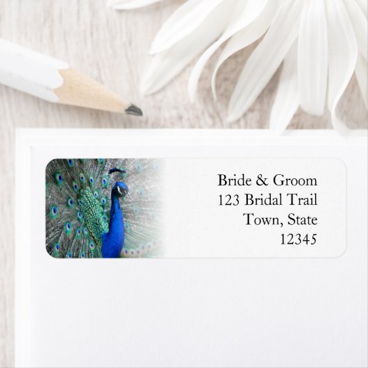 Peacock Wedding Theme 1 (Insitu)