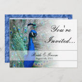 Peacock Wedding Theme 1 (blau) Einladung (Vorne/Hinten)