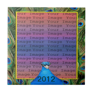 Peacock Wedding Tile Fliese