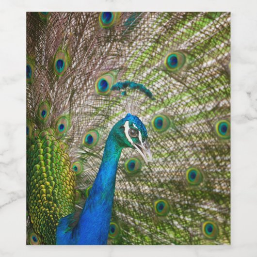 Peacock Weinetikett (Einzelnes Label)