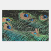 Peacock wrapping paper  geschenkpapier set (Vorderseite 3)