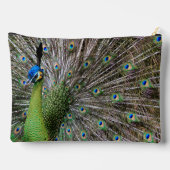 Peacock Zubehörtasche (Rückseite)