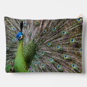 Peacock Zubehörtasche (Rückseite)