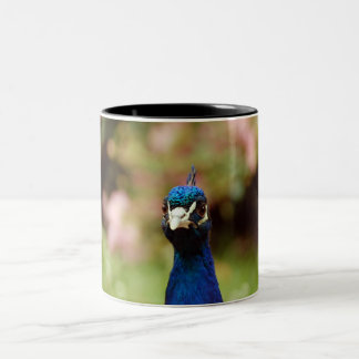 Peacock Zweifarbige Tasse