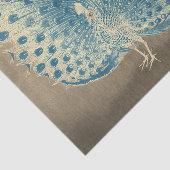 PEACOCK-Zwirnpapier Seidenpapier (Ausschnitt)