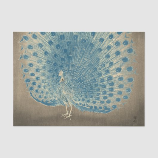 PEACOCK-Zwirnpapier Seidenpapier (Vorderseite)