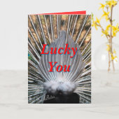 Peacockbutt card2-customize irgendeine Gelegenheit Karte (Gelbe Blume)