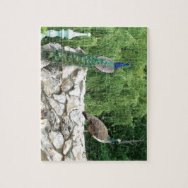 Peacocks Birds Garden Foto Puzzle mit Geschenkboxe