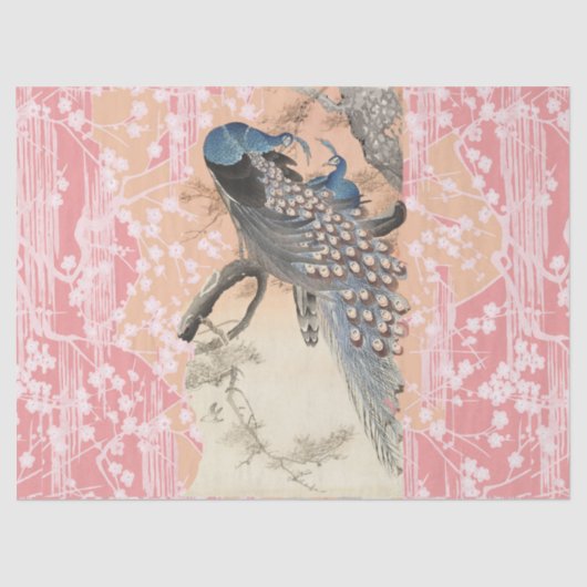 PEACOCKS, PINK WHITE SAKURA BLUME Japanisch Blumen Seidenpapier (Vorderseite)