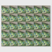 Peacok Feathers verschenken Wrapping Paper Peacok Geschenkpapier (Flach)