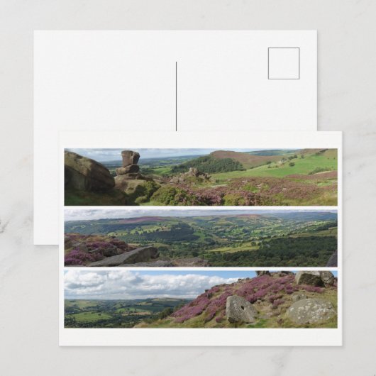 Peak District Heather Panoramas Postkarte (Vorne/Hinten)