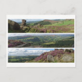 Peak District Heather Panoramas Postkarte (Vorderseite)