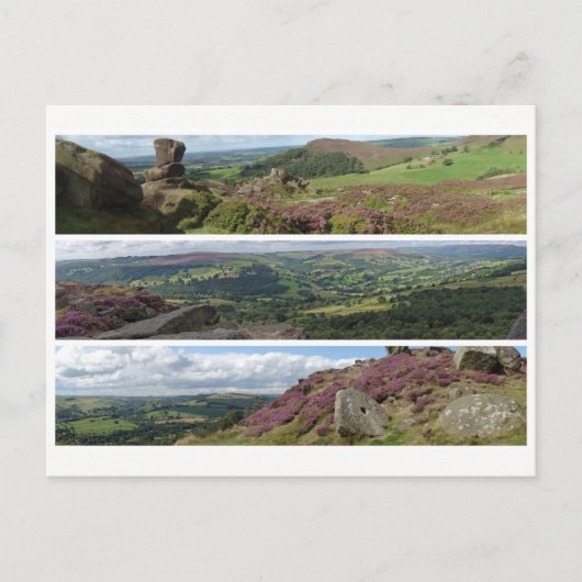 Peak District Heather Panoramas Postkarte (Vorderseite)