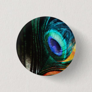Peakcock Feather up nah und Personal Button