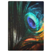 Peakcock Feather up nah und Personal Klemmbrett (Rückseite)