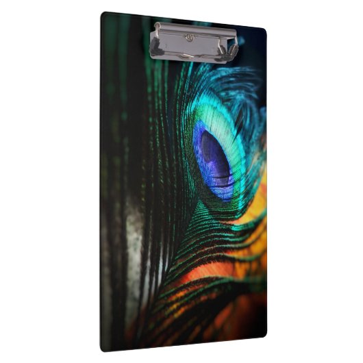 Peakcock Feather up nah und Personal Klemmbrett (Rechts)