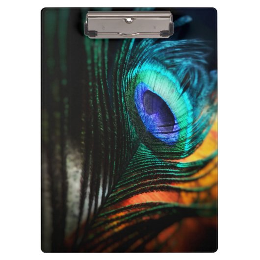 Peakcock Feather up nah und Personal Klemmbrett (Vorderseite)