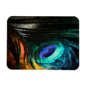 Peakcock Feather up nah und Personal Magnet (Horizontal)