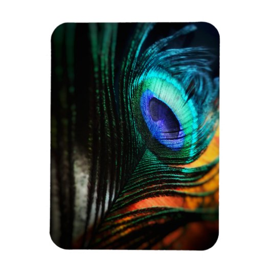 Peakcock Feather up nah und Personal Magnet (Vertikal)
