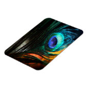 Peakcock Feather up nah und Personal Magnet (Linke Seite)