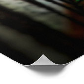 Peakcock Feather up nah und Personal Poster (Ecke)