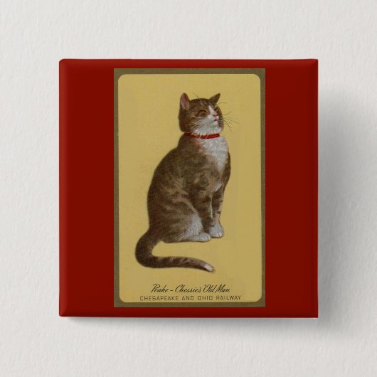 Peake, Chessie's Old Man Tomcat Tabbykatze Button (Vorderseite)