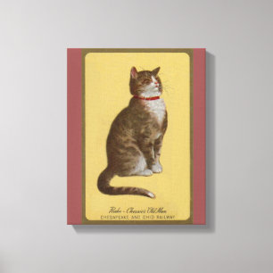 Peake, Chessie's Old Man Tomcat Tabbykatze Leinwanddruck