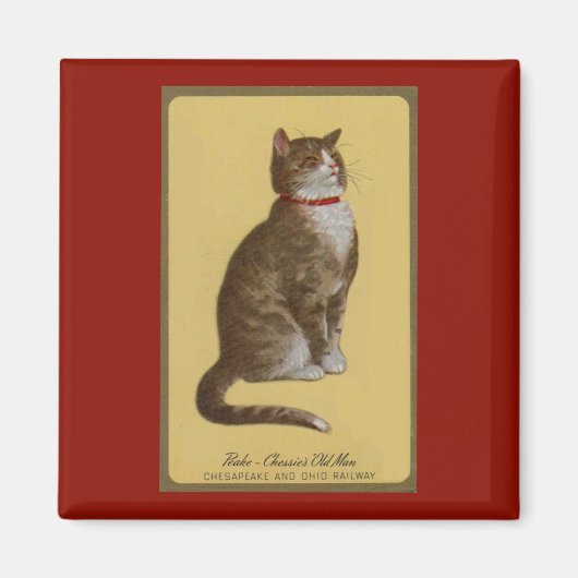 Peake, Chessie's Old Man Tomcat Tabbykatze Magnet (Vorne)