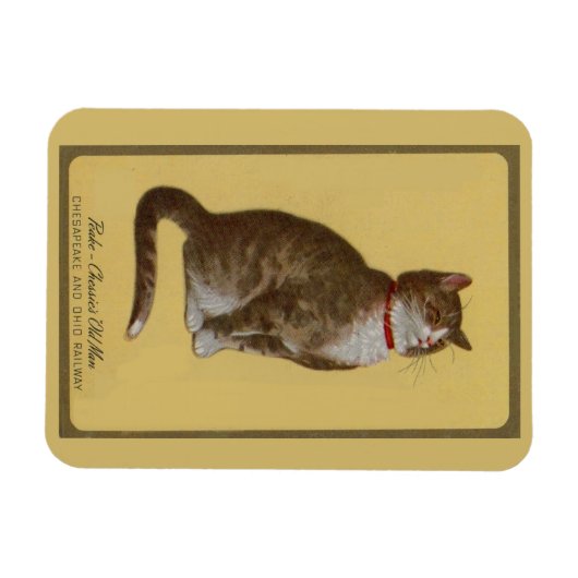 Peake, Chessie's Old Man Tomcat Tabbykatze Magnet (Horizontal)