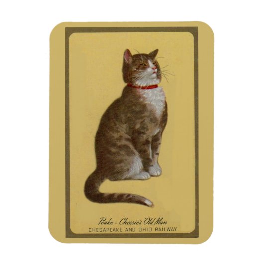 Peake, Chessie's Old Man Tomcat Tabbykatze Magnet (Vertikal)