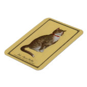 Peake, Chessie's Old Man Tomcat Tabbykatze Magnet (Linke Seite)