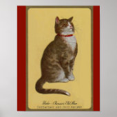 Peake, Chessie's Old Man Tomcat Tabbykatze Poster (Vorne)