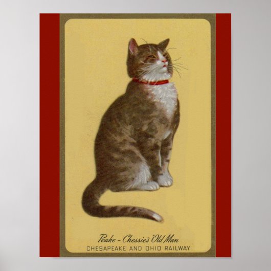 Peake, Chessie's Old Man Tomcat Tabbykatze Poster (Vorne)