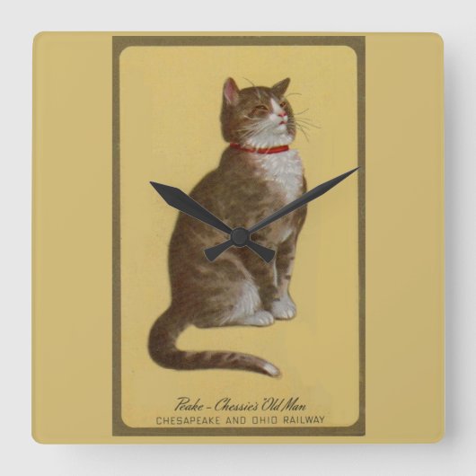 Peake, Chessie's Old Man Tomcat Tabbykatze Quadratische Wanduhr (Vorderseite)