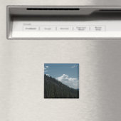 Peaking Magnet (In Situ (Geschirrspüler))