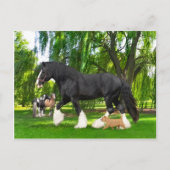 "Peanut & Blackbird"  Postkarte (Vorderseite)