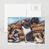 Peanut Masons (Hamster) Postkarten (Vorne/Hinten)