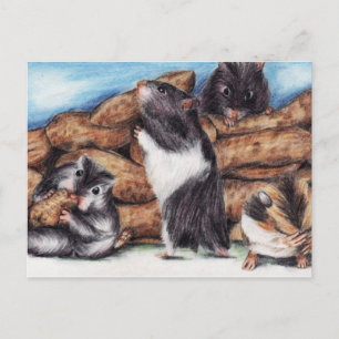 Peanut Masons (Hamster) Postkarten