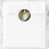 PEANUT STICKER (Tasche)