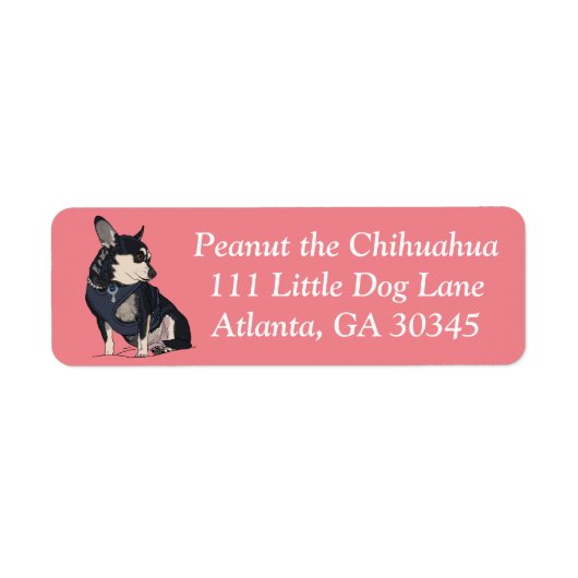 Peanut the Chihuahua Address Labels (Vorne)